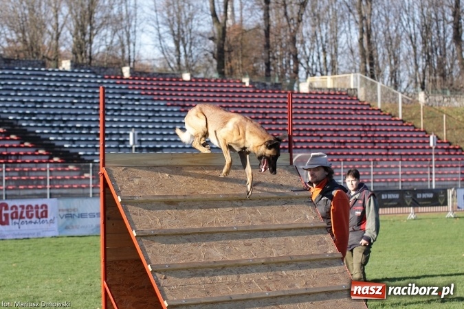Zdjęcie w galerii na portalu naszraciborz.pl: Międzynarodowe Zawody Mondioringu dziś i jutro w Raciborzu  wiadomości z regionu