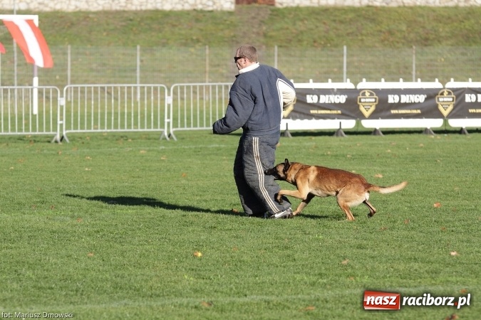 Zdjęcie w galerii na portalu naszraciborz.pl: Międzynarodowe Zawody Mondioringu dziś i jutro w Raciborzu  wiadomości z regionu