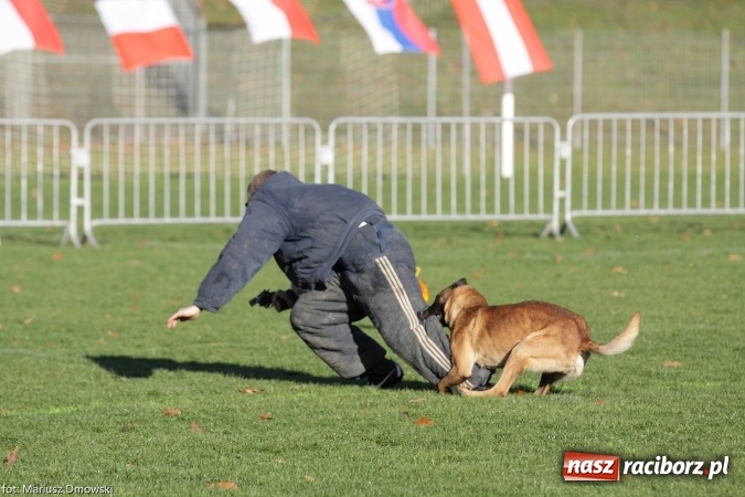 Zdjęcie w galerii na portalu naszraciborz.pl: Międzynarodowe Zawody Mondioringu dziś i jutro w Raciborzu  wiadomości z regionu
