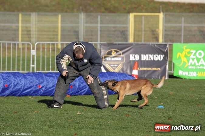 Zdjęcie w galerii na portalu naszraciborz.pl: Międzynarodowe Zawody Mondioringu dziś i jutro w Raciborzu  wiadomości z regionu