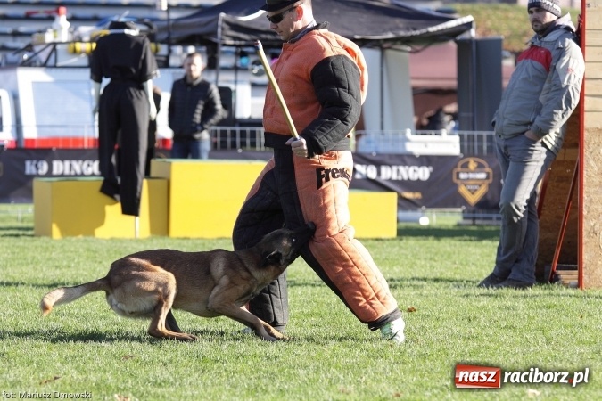 Zdjęcie w galerii na portalu naszraciborz.pl: Międzynarodowe Zawody Mondioringu dziś i jutro w Raciborzu  wiadomości z regionu