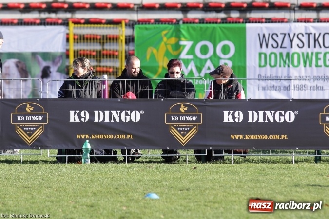 Zdjęcie w galerii na portalu naszraciborz.pl: Międzynarodowe Zawody Mondioringu dziś i jutro w Raciborzu  wiadomości z regionu