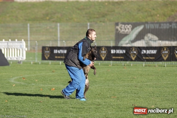 Zdjęcie w galerii na portalu naszraciborz.pl: Międzynarodowe Zawody Mondioringu dziś i jutro w Raciborzu  wiadomości z regionu