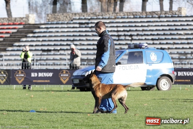 Zdjęcie w galerii na portalu naszraciborz.pl: Międzynarodowe Zawody Mondioringu dziś i jutro w Raciborzu  wiadomości z regionu
