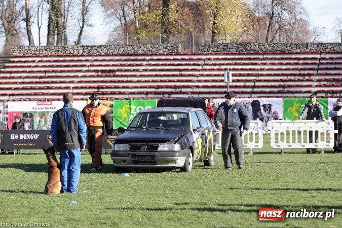Zdjęcie w galerii na portalu naszraciborz.pl: Międzynarodowe Zawody Mondioringu dziś i jutro w Raciborzu  wiadomości z regionu