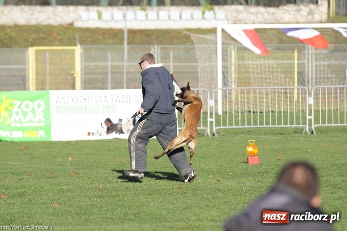 Zdjęcie w galerii na portalu naszraciborz.pl: Międzynarodowe Zawody Mondioringu dziś i jutro w Raciborzu  wiadomości z regionu