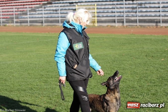 Zdjęcie w galerii na portalu naszraciborz.pl: Międzynarodowe Zawody Mondioringu dziś i jutro w Raciborzu  wiadomości z regionu