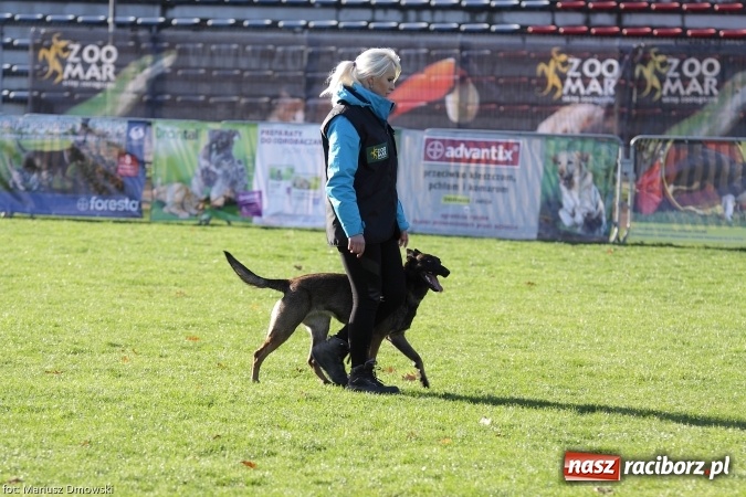Zdjęcie w galerii na portalu naszraciborz.pl: Międzynarodowe Zawody Mondioringu dziś i jutro w Raciborzu  wiadomości z regionu
