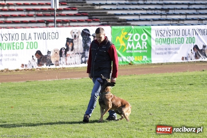 Zdjęcie w galerii na portalu naszraciborz.pl: Międzynarodowe Zawody Mondioringu dziś i jutro w Raciborzu  wiadomości z regionu