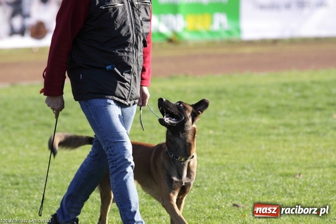 Zdjęcie w galerii na portalu naszraciborz.pl: Międzynarodowe Zawody Mondioringu dziś i jutro w Raciborzu  wiadomości z regionu
