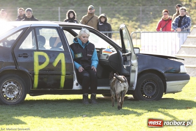 Zdjęcie w galerii na portalu naszraciborz.pl: Międzynarodowe Zawody Mondioringu dziś i jutro w Raciborzu  wiadomości z regionu