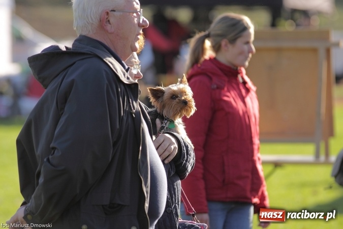 Zdjęcie w galerii na portalu naszraciborz.pl: Międzynarodowe Zawody Mondioringu dziś i jutro w Raciborzu  wiadomości z regionu