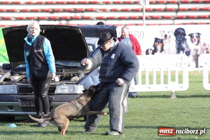 Zdjęcie w galerii na portalu naszraciborz.pl: Międzynarodowe Zawody Mondioringu dziś i jutro w Raciborzu  wiadomości z regionu