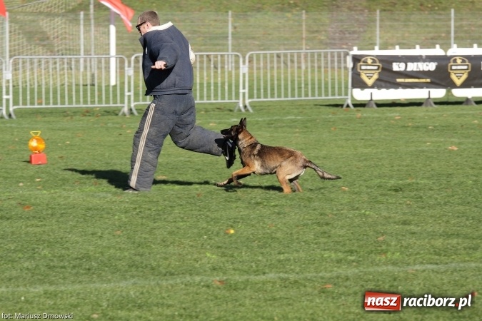 Zdjęcie w galerii na portalu naszraciborz.pl: Międzynarodowe Zawody Mondioringu dziś i jutro w Raciborzu  wiadomości z regionu