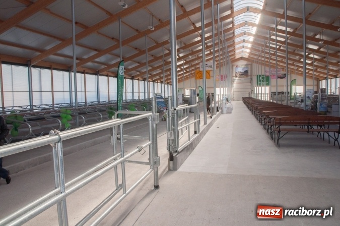 Zdjęcie w galerii na portalu naszraciborz.pl: Nowa obora na urodziny - w Budziskach otwarto najnowocześniejszą oborę na Śląsku wiadomości z regionu