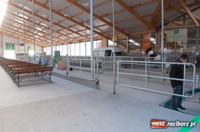 Zdjęcie w galerii na portalu naszraciborz.pl: Nowa obora na urodziny - w Budziskach otwarto najnowocześniejszą oborę na Śląsku wiadomości z regionu