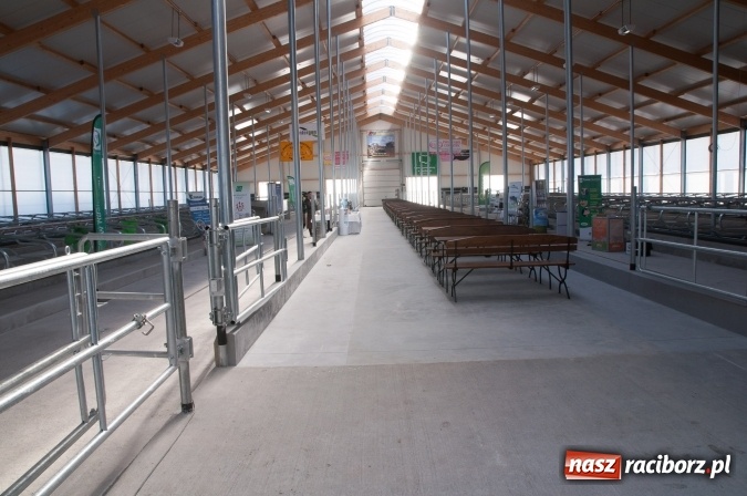 Zdjęcie w galerii na portalu naszraciborz.pl: Nowa obora na urodziny - w Budziskach otwarto najnowocześniejszą oborę na Śląsku wiadomości z regionu