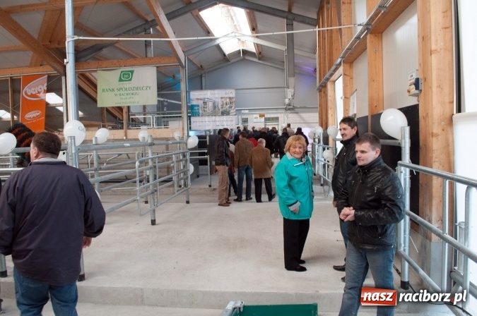 Zdjęcie w galerii na portalu naszraciborz.pl: Nowa obora na urodziny - w Budziskach otwarto najnowocześniejszą oborę na Śląsku wiadomości z regionu