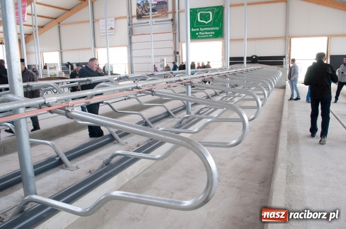 Zdjęcie w galerii na portalu naszraciborz.pl: Nowa obora na urodziny - w Budziskach otwarto najnowocześniejszą oborę na Śląsku wiadomości z regionu