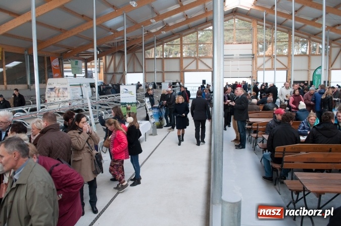 Zdjęcie w galerii na portalu naszraciborz.pl: Nowa obora na urodziny - w Budziskach otwarto najnowocześniejszą oborę na Śląsku wiadomości z regionu