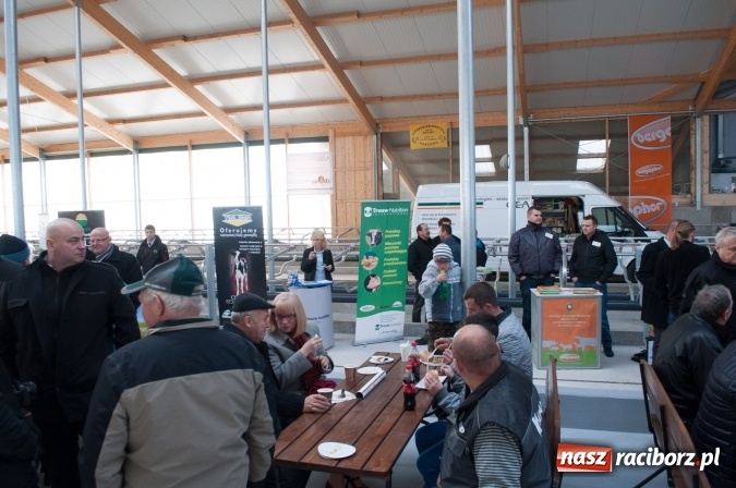 Zdjęcie w galerii na portalu naszraciborz.pl: Nowa obora na urodziny - w Budziskach otwarto najnowocześniejszą oborę na Śląsku wiadomości z regionu