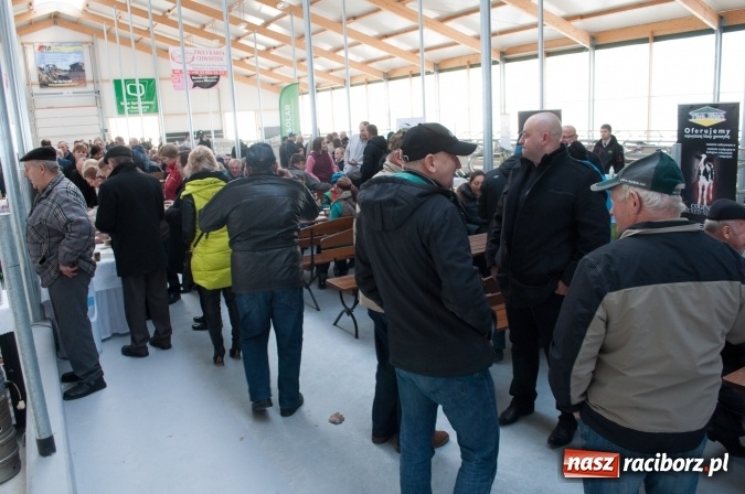 Zdjęcie w galerii na portalu naszraciborz.pl: Nowa obora na urodziny - w Budziskach otwarto najnowocześniejszą oborę na Śląsku wiadomości z regionu