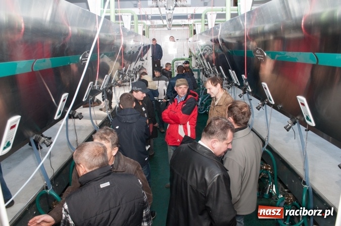 Zdjęcie w galerii na portalu naszraciborz.pl: Nowa obora na urodziny - w Budziskach otwarto najnowocześniejszą oborę na Śląsku wiadomości z regionu