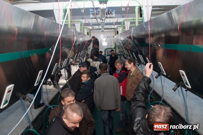 Zdjęcie w galerii na portalu naszraciborz.pl: Nowa obora na urodziny - w Budziskach otwarto najnowocześniejszą oborę na Śląsku wiadomości z regionu