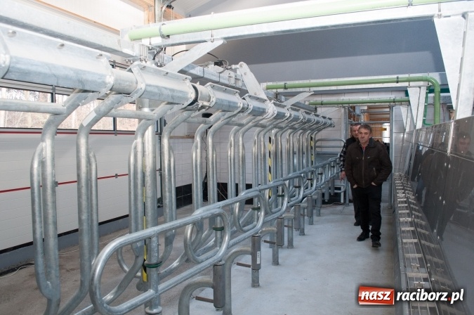 Zdjęcie w galerii na portalu naszraciborz.pl: Nowa obora na urodziny - w Budziskach otwarto najnowocześniejszą oborę na Śląsku wiadomości z regionu