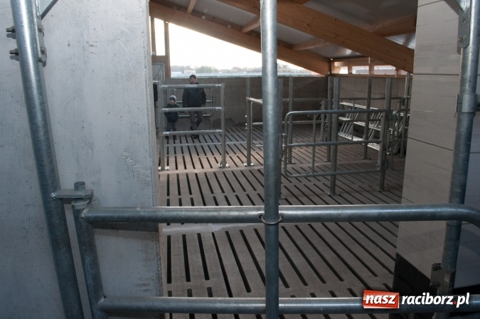 Zdjęcie w galerii na portalu naszraciborz.pl: Nowa obora na urodziny - w Budziskach otwarto najnowocześniejszą oborę na Śląsku wiadomości z regionu