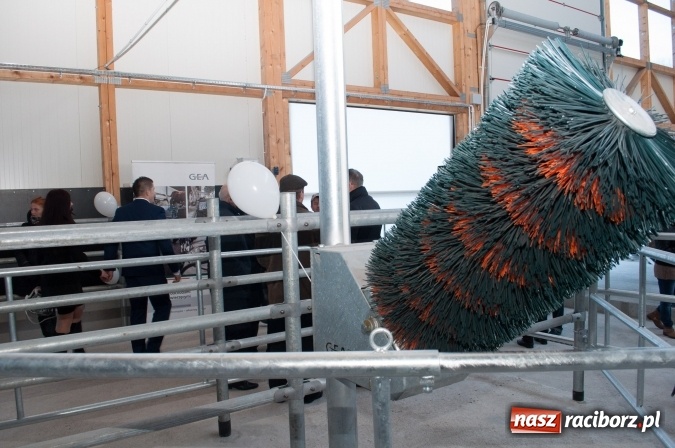 Zdjęcie w galerii na portalu naszraciborz.pl: Nowa obora na urodziny - w Budziskach otwarto najnowocześniejszą oborę na Śląsku wiadomości z regionu