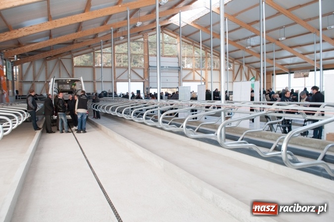 Zdjęcie w galerii na portalu naszraciborz.pl: Nowa obora na urodziny - w Budziskach otwarto najnowocześniejszą oborę na Śląsku wiadomości z regionu