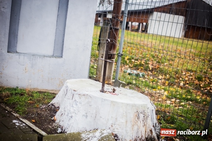 Zdjęcie w galerii na portalu naszraciborz.pl: Święty z wyobraźnią miłosierdzia w Samborowicach wiadomości z regionu