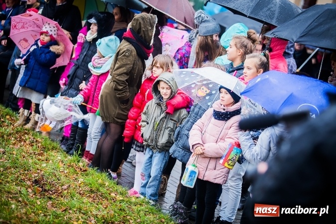 Zdjęcie w galerii na portalu naszraciborz.pl: Święty z wyobraźnią miłosierdzia w Samborowicach wiadomości z regionu