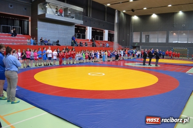 Zdjęcie w galerii na portalu naszraciborz.pl: 36 medali zapaśników MKZ Unia Racibórz na zawodach w Bieruniu wiadomości z regionu