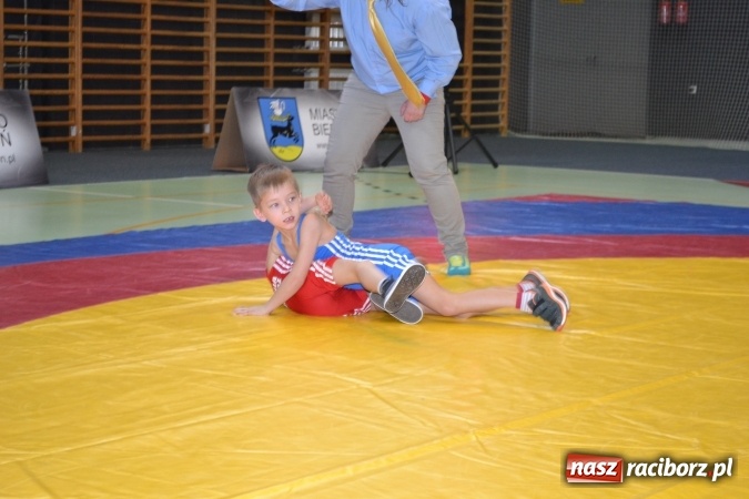 Zdjęcie w galerii na portalu naszraciborz.pl: 36 medali zapaśników MKZ Unia Racibórz na zawodach w Bieruniu wiadomości z regionu