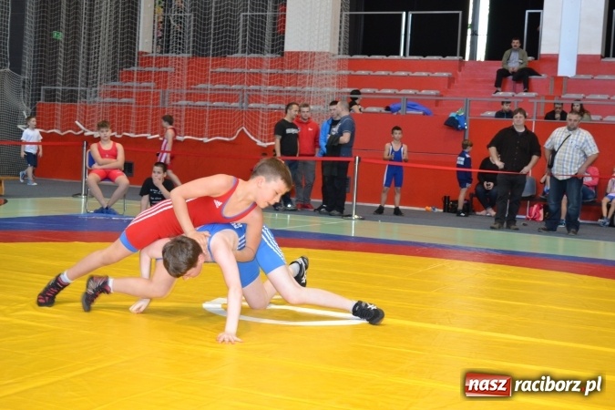 Zdjęcie w galerii na portalu naszraciborz.pl: 36 medali zapaśników MKZ Unia Racibórz na zawodach w Bieruniu wiadomości z regionu
