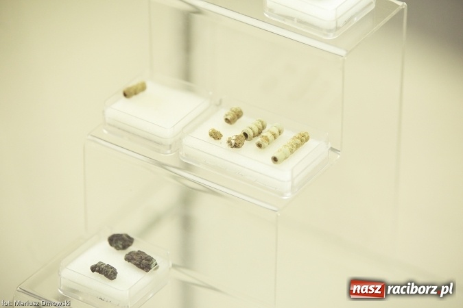 Zdjęcie w galerii na portalu naszraciborz.pl: Od rondla do muzeum, czyli pietrowickie spotkania z archeologią wiadomości z regionu