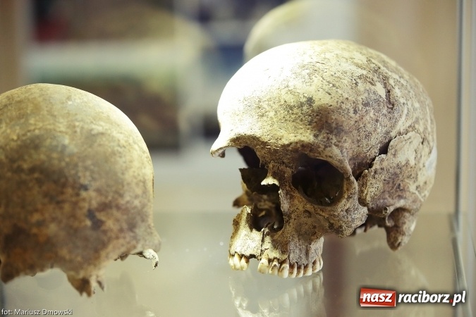Zdjęcie w galerii na portalu naszraciborz.pl: Od rondla do muzeum, czyli pietrowickie spotkania z archeologią wiadomości z regionu