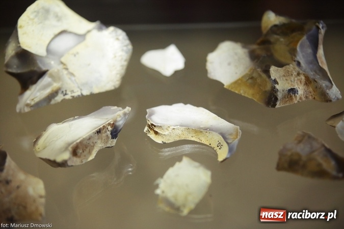 Zdjęcie w galerii na portalu naszraciborz.pl: Od rondla do muzeum, czyli pietrowickie spotkania z archeologią wiadomości z regionu