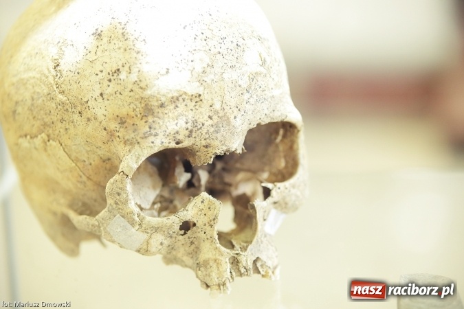 Zdjęcie w galerii na portalu naszraciborz.pl: Od rondla do muzeum, czyli pietrowickie spotkania z archeologią wiadomości z regionu