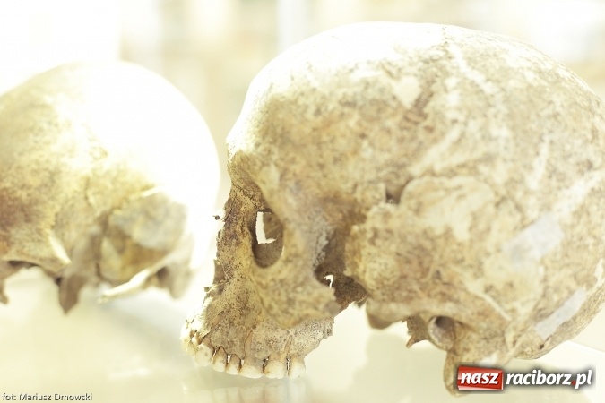 Zdjęcie w galerii na portalu naszraciborz.pl: Od rondla do muzeum, czyli pietrowickie spotkania z archeologią wiadomości z regionu