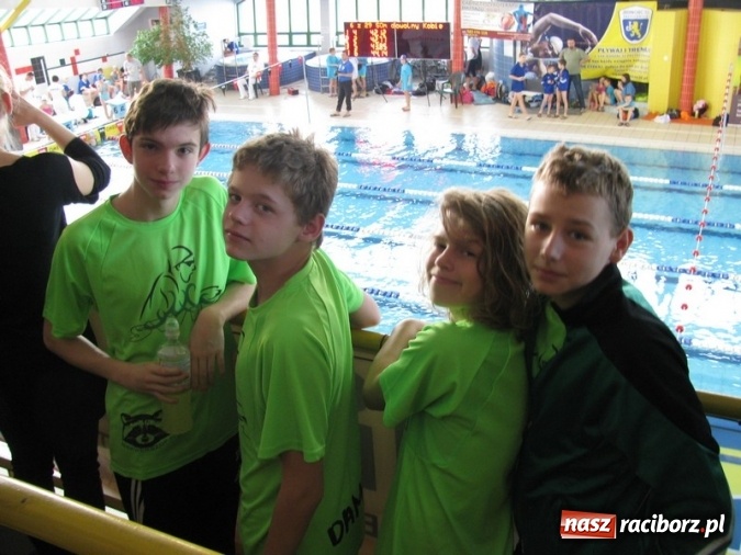 Zdjęcie w galerii na portalu naszraciborz.pl: Pływanie. Dobre starty młodzików  wiadomości z regionu