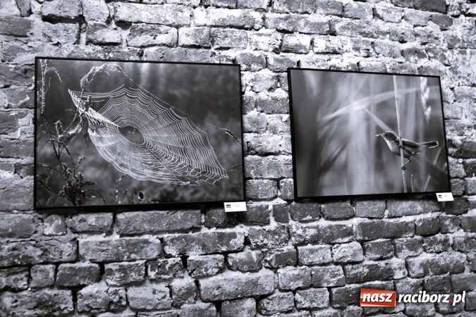 Zdjęcie w galerii na portalu naszraciborz.pl: Cisza w starym opactwie, czyli jubileuszowa wystawa Fotonu wiadomości z regionu