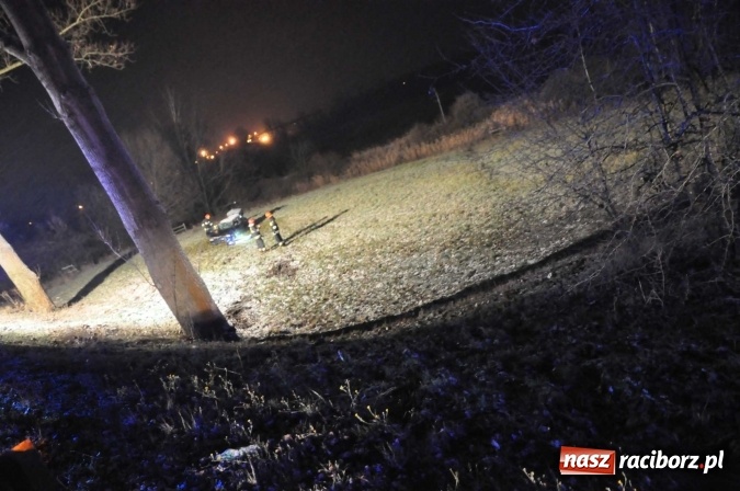 Zdjęcie w galerii na portalu naszraciborz.pl: Mitsubishi zjechało ze skarpy w Brzeziu. Kierowca w szpitalu wiadomości z regionu