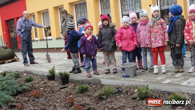 Zdjęcie w galerii na portalu naszraciborz.pl: W Przedszkolu nr 26 dzieci sadziły drzewka wiadomości z regionu