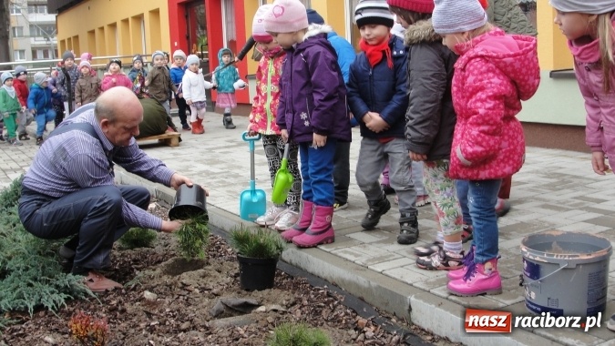 Zdjęcie w galerii na portalu naszraciborz.pl: W Przedszkolu nr 26 dzieci sadziły drzewka wiadomości z regionu