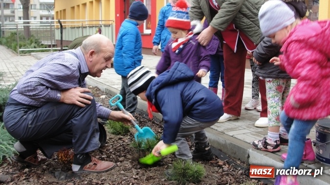 Zdjęcie w galerii na portalu naszraciborz.pl: W Przedszkolu nr 26 dzieci sadziły drzewka wiadomości z regionu