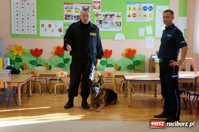 Zdjęcie w galerii na portalu naszraciborz.pl: Policjanci z czworonożnym funkcjonariuszem w przedszkolu w Grzegorzowicach i Szkole Podstawowej nr 15 w Raciborzu  wiadomości z regionu