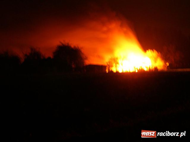 Zdjęcie w galerii na portalu naszraciborz.pl: Pożar altanki przy Źródlanej wiadomości z regionu